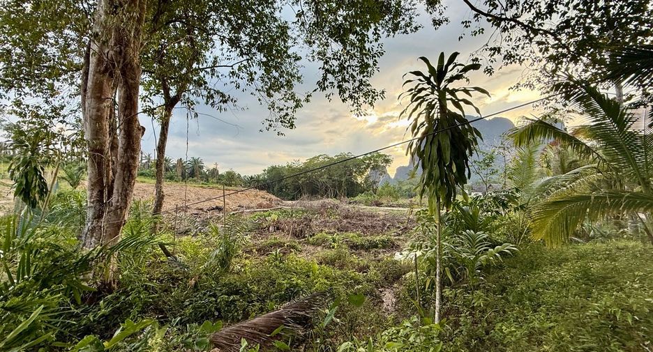 À vendre terrain à Mueang Krabi, Krabi