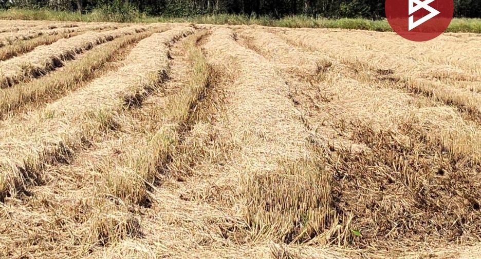 Terreno en venta en Sao Hai, Saraburi