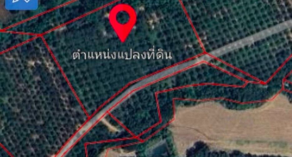 For sale land in Lom Sak, Phetchabun