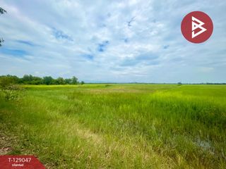For sale land in Mueang Prachinburi, Prachin Buri