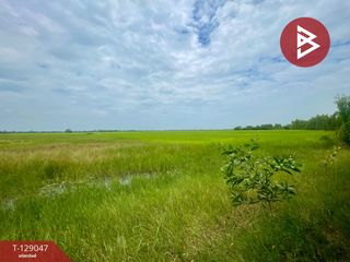 For sale land in Mueang Prachinburi, Prachin Buri