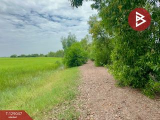 For sale land in Mueang Prachinburi, Prachin Buri
