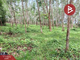 For sale land in Tha Sala, Nakhon Si Thammarat