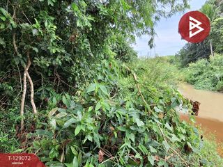 For sale land in Tha Sala, Nakhon Si Thammarat