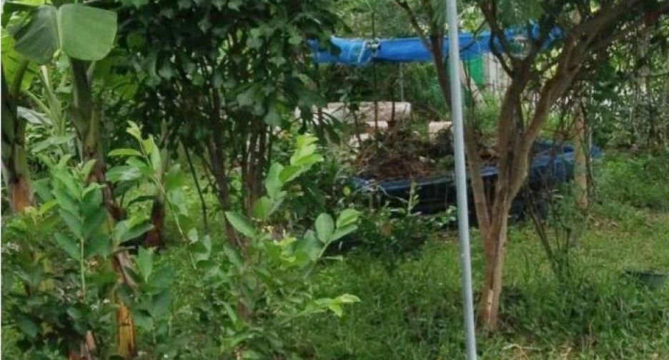 Terreno en venta en Nong Chok, Bangkok