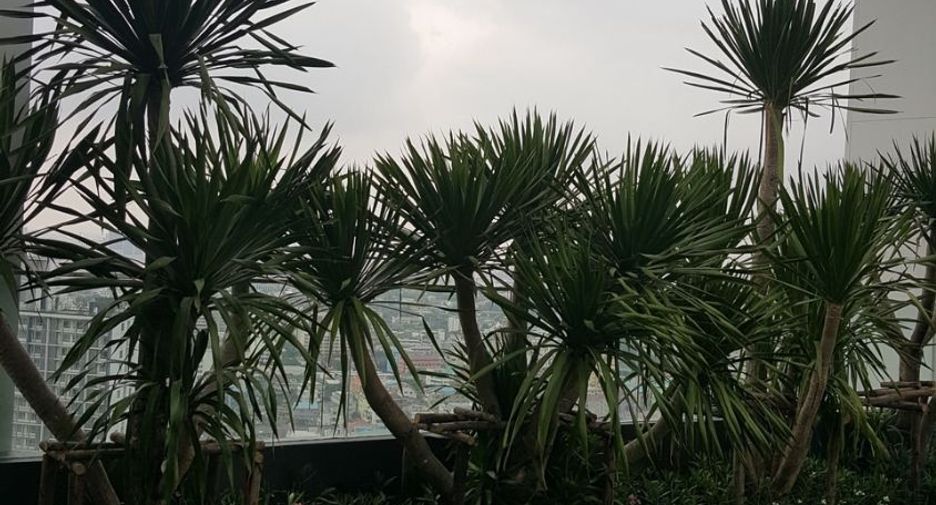 For sale 1 bed condo in Khlong Toei, Bangkok