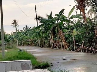ขาย ที่ดิน ใน ท่ายาง, เพชรบุรี