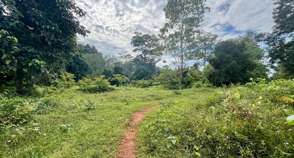 À vendre terrain à Mueang Krabi, Krabi