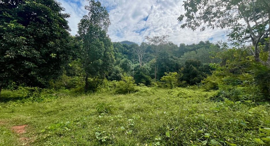 À vendre terrain à Mueang Krabi, Krabi