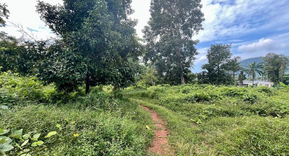 À vendre terrain à Mueang Krabi, Krabi