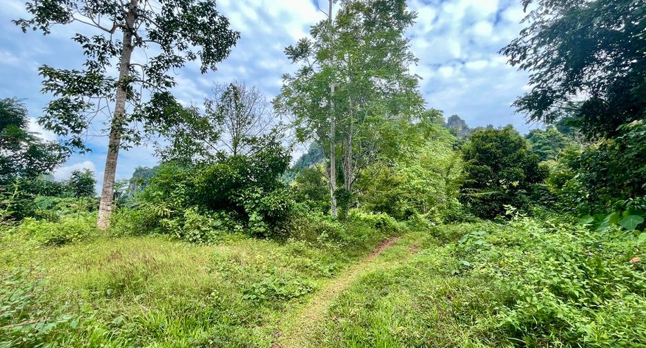 À vendre terrain à Mueang Krabi, Krabi