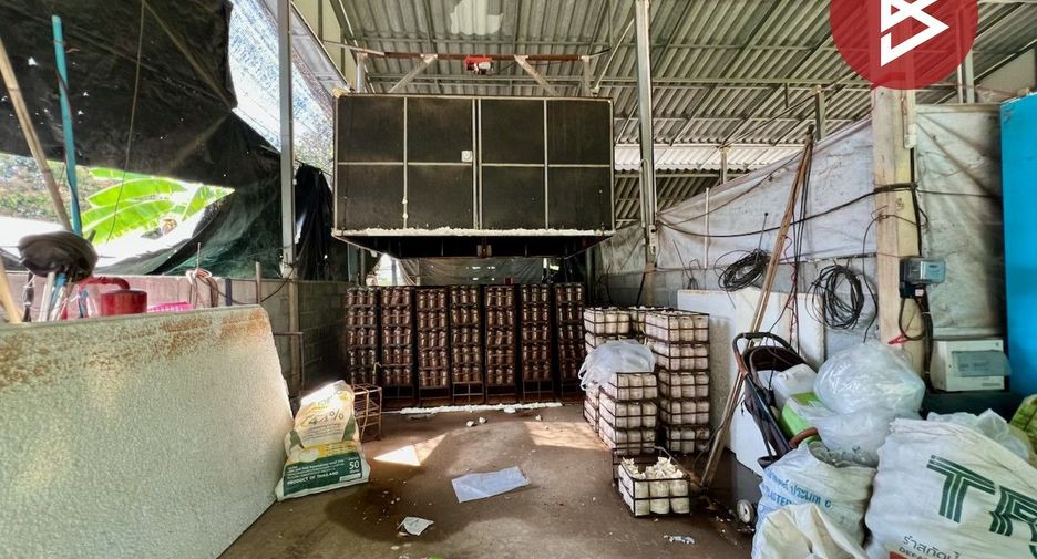 Продажа студия дом в Kamphaeng Saen, Накхонпатхом