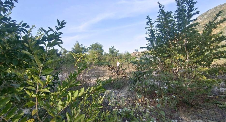 出售 土地 在 Cha-Am, Phetchaburi