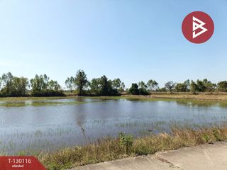 ขาย ที่ดิน ใน เมืองสุรินทร์, สุรินทร์