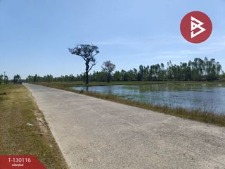ขาย ที่ดิน ใน เมืองสุรินทร์, สุรินทร์