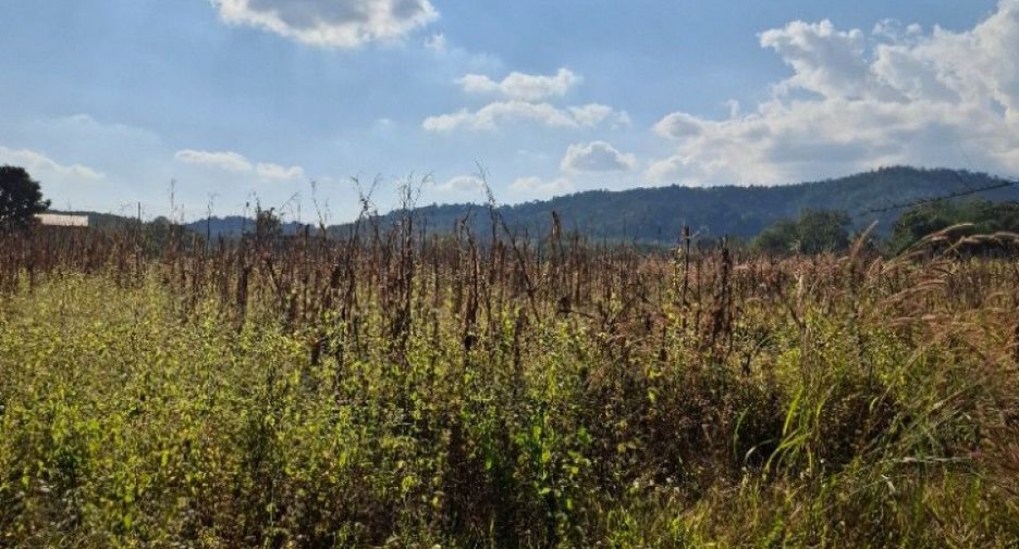 Продажа Участок в Mae Lao, Чианг Рай