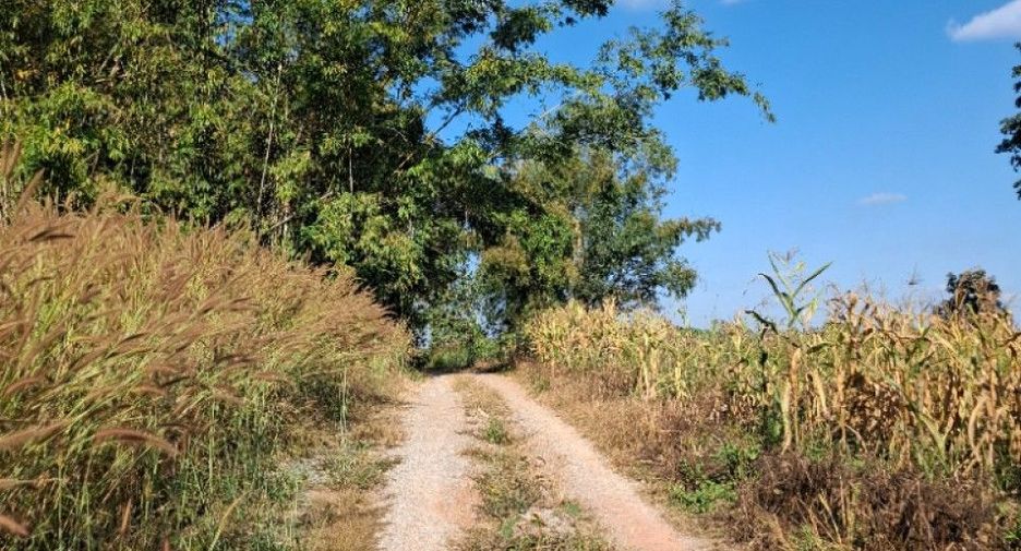 Продажа Участок в Mae Lao, Чианг Рай
