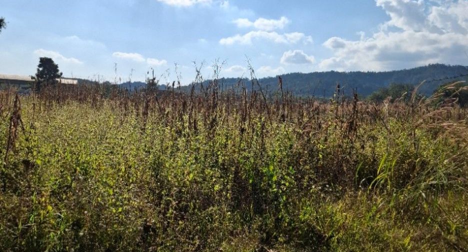 Продажа Участок в Mae Lao, Чианг Рай