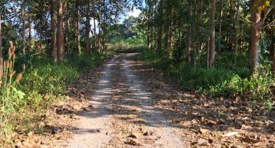 Продажа Участок в Mae Lao, Чианг Рай