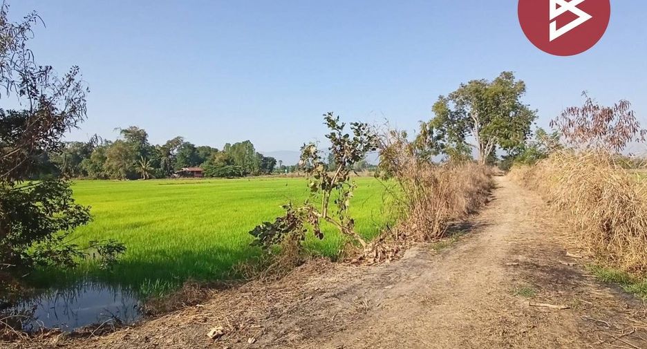 For sale land in Krok Phra, Nakhon Sawan