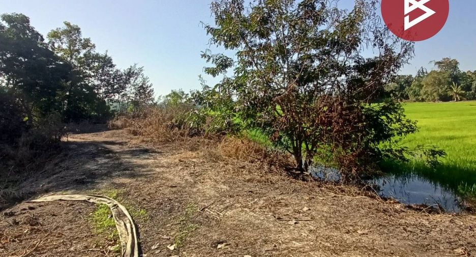 For sale land in Krok Phra, Nakhon Sawan