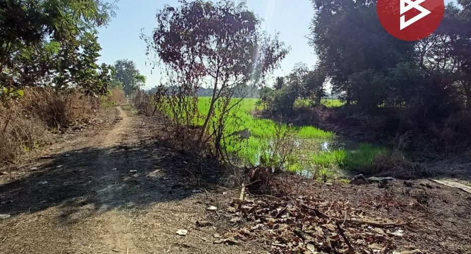 For sale land in Krok Phra, Nakhon Sawan