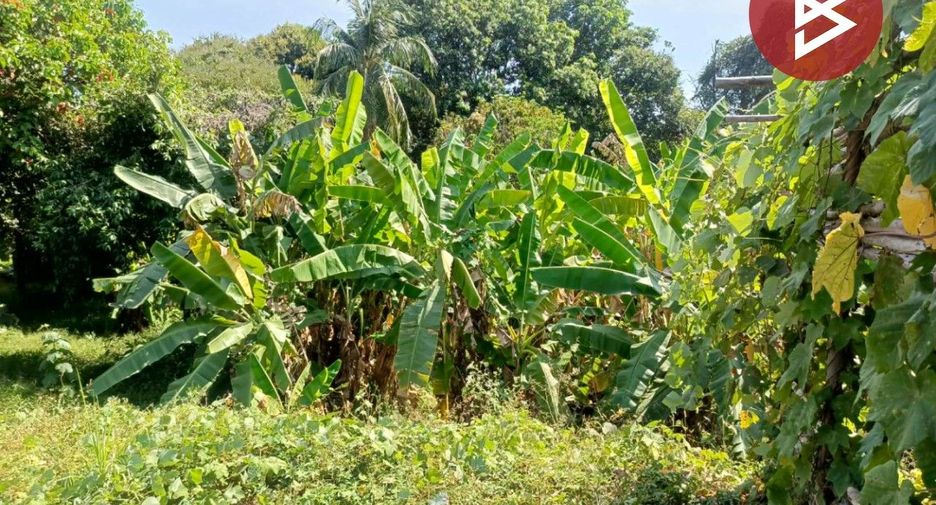 For sale land in Mueang Nakhon Nayok, Nakhon Nayok