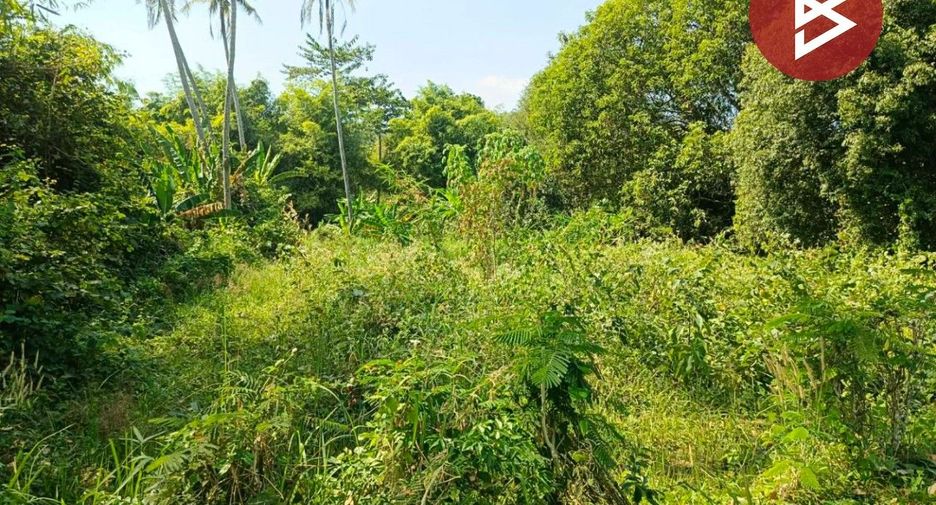 For sale land in Mueang Nakhon Nayok, Nakhon Nayok