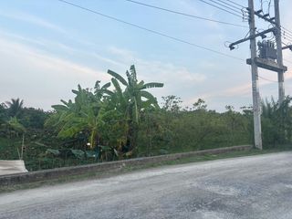 ขาย ที่ดิน ใน พุทธมณฑล, นครปฐม