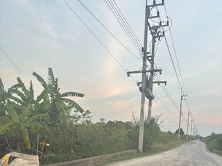 ขาย ที่ดิน ใน พุทธมณฑล, นครปฐม