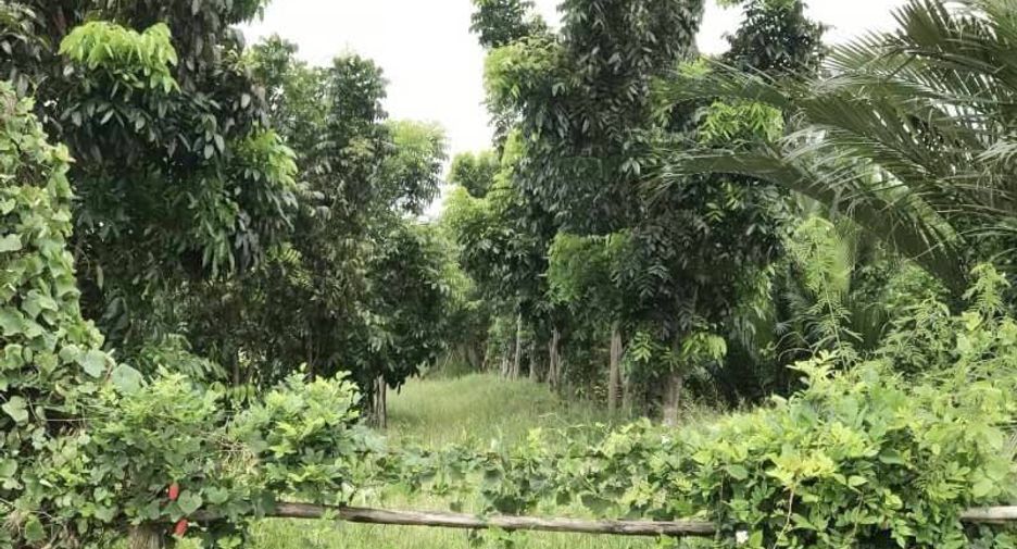 Terreno en venta en Bang Khla, Chachoengsao