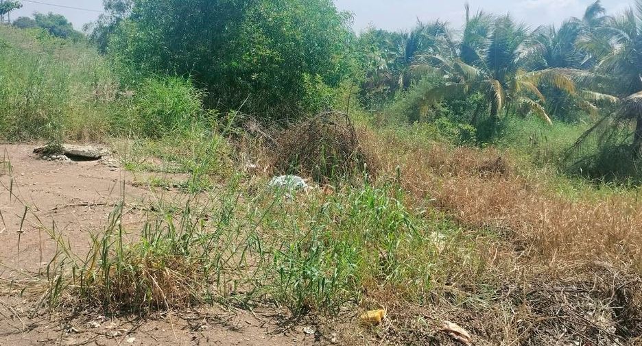 À vendre terrain à Lat Lum Kaeo, Pathum Thani