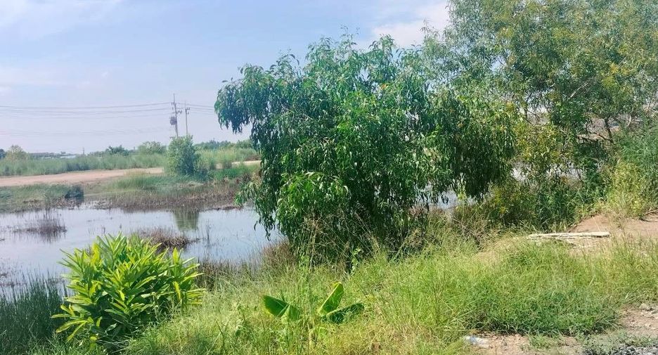 À vendre terrain à Lat Lum Kaeo, Pathum Thani