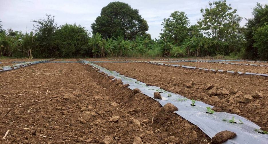For sale land in Si Samrong, Sukhothai