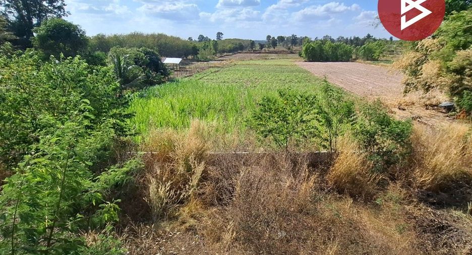 Продажа Участок в Phon Thong, Roi Et