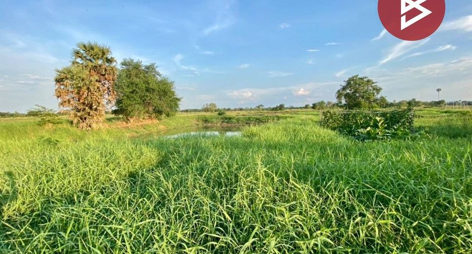 For sale land in Sung Noen, Nakhon Ratchasima