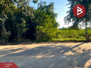 For sale land in Pak Thong Chai, Nakhon Ratchasima