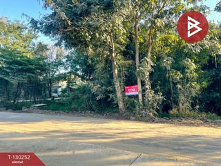 For sale land in Pak Thong Chai, Nakhon Ratchasima