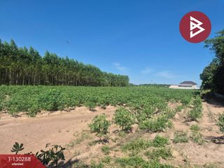 À vendre terrain à Phanat Nikhom, Chonburi