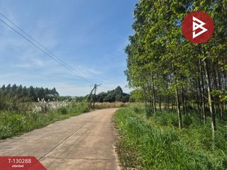 À vendre terrain à Phanat Nikhom, Chonburi