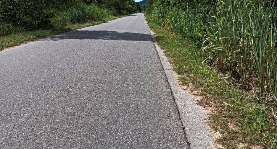 For sale land in Suan Phueng, Ratchaburi