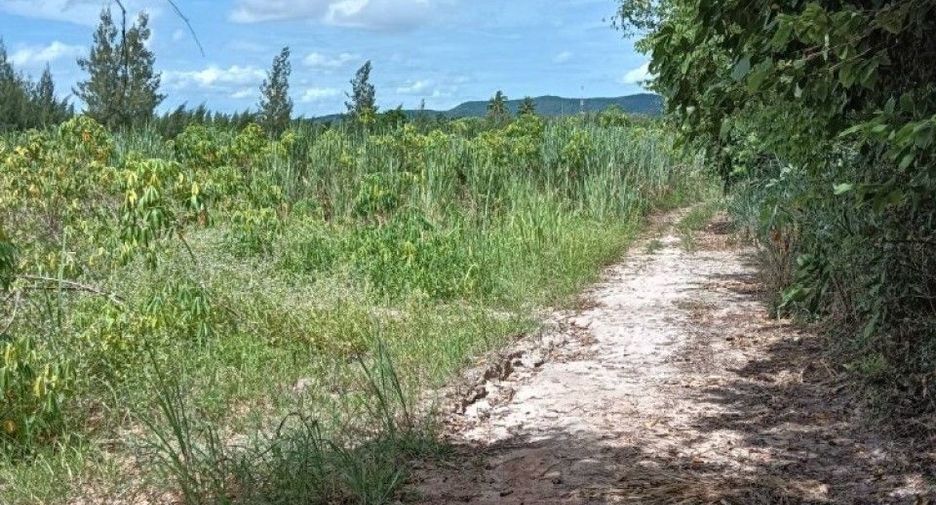 For sale land in Suan Phueng, Ratchaburi