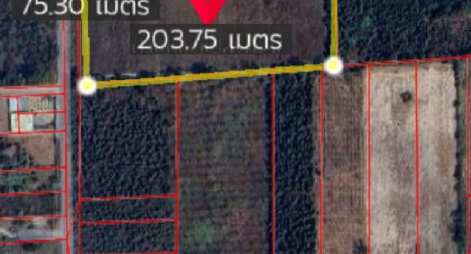 For sale land in Suan Phueng, Ratchaburi