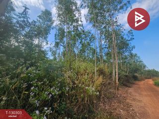 ขาย ที่ดิน ใน ขาณุวรลักษบุรี, กำแพงเพชร
