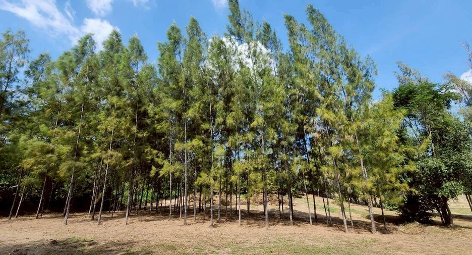 ขาย ที่ดิน ใน แก่งกระจาน, เพชรบุรี