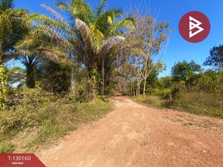For sale land in Mueang Bung Kan, Bueng Kan