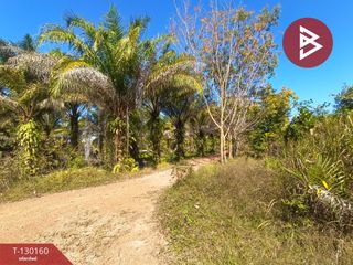 For sale land in Mueang Bung Kan, Bueng Kan