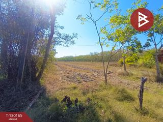 For sale land in Mueang Bung Kan, Bueng Kan