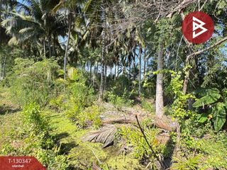 For sale land in Amphawa, Samut Songkhram