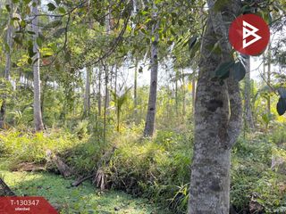 For sale land in Amphawa, Samut Songkhram